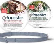 BAYER Obroża Foresto Pies poniżej 8kg - na pchły i kleszcze